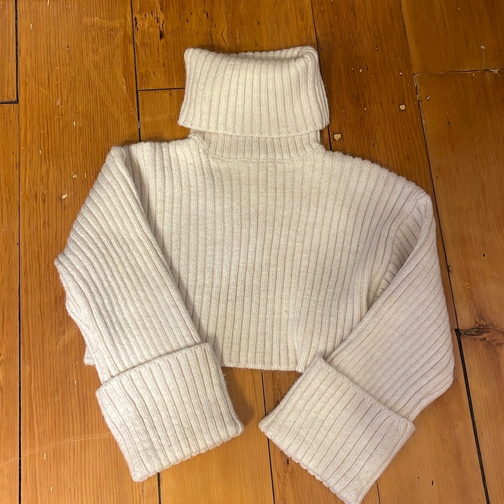 Zara Turtle neck